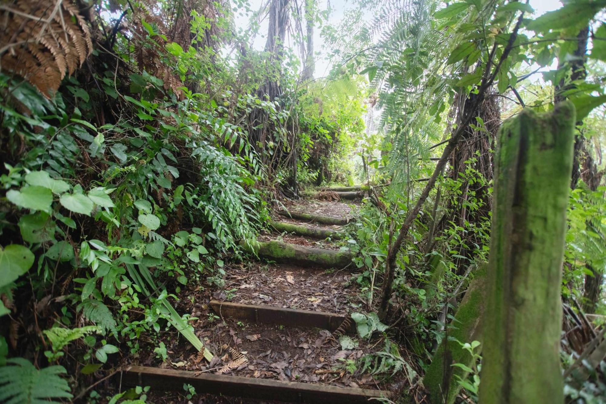 Okere Lakehouse Retreat Okere Falls Buitenkant foto